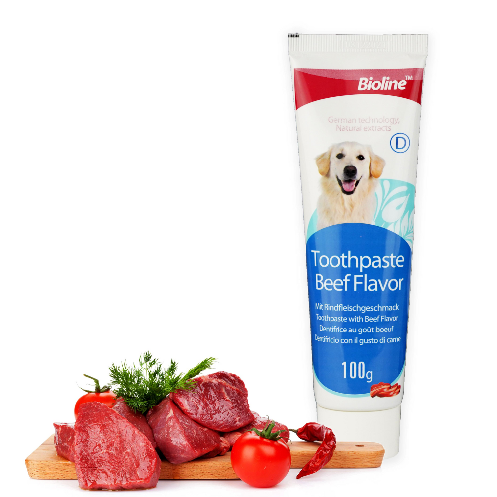 Dog toothpaste beef flavor best sale