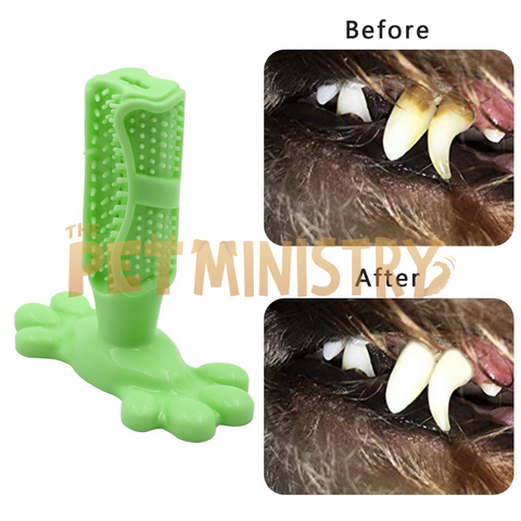 Cactuz™ Dog Toothbrush (FDA-Approved)