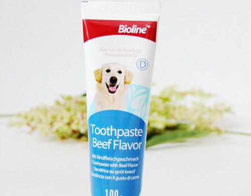 Bioline™ Beef Flavored Toothpaste for Dogs and Cats (100g)