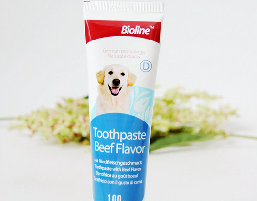 Dog toothpaste hotsell beef flavor