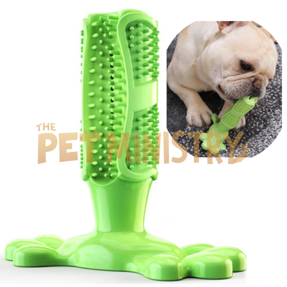 Cactuz™ Dog Toothbrush (FDA-Approved)